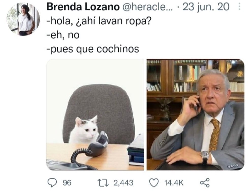 Tuit de Brenda Lozano