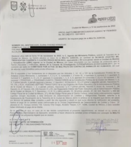 Fiscalía de la CDMX inicia venganza contra Elena Chávez por El Rey del Cash