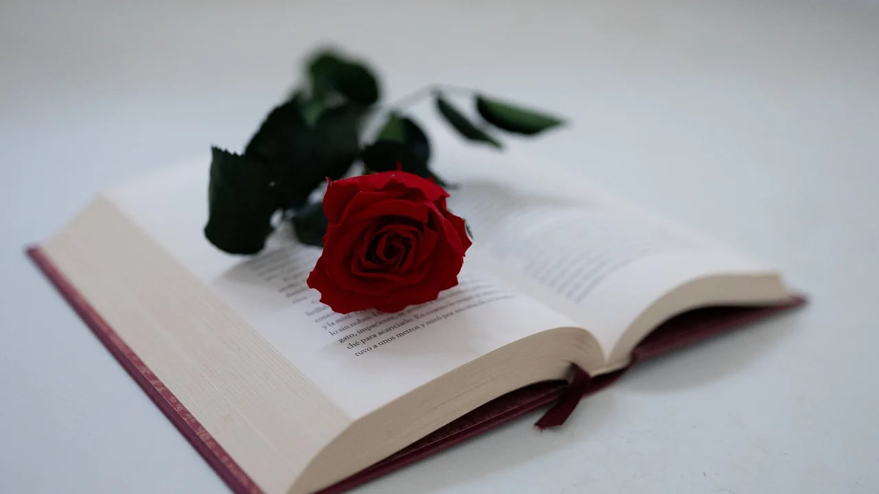 ¿Qué pasa el 23 de abril? Por esta razón se regalan libros y rosas en ese día
