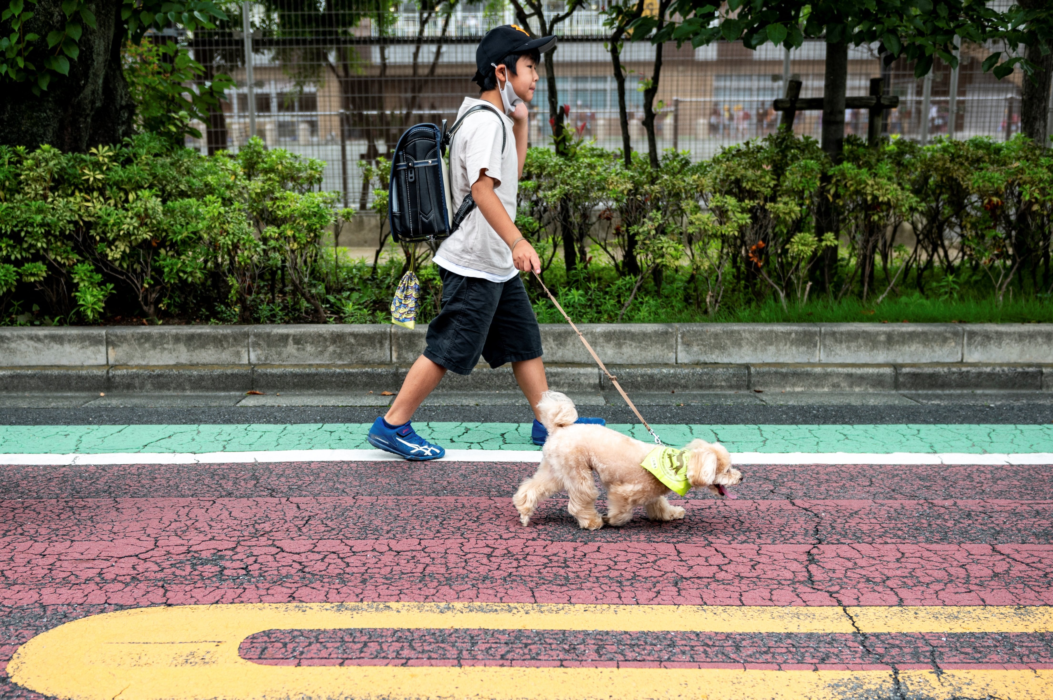 Patrulla de perros en Japón