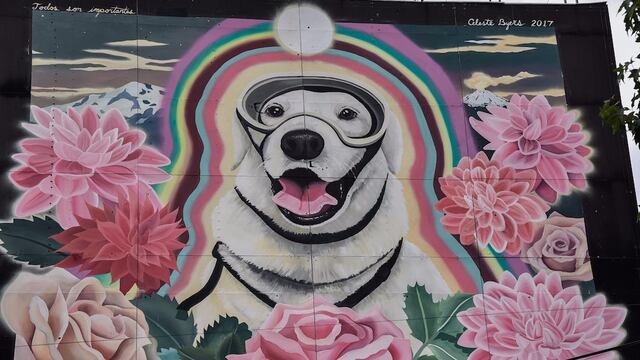 Mural de Frida, perrita rescatistas, en la CDMX