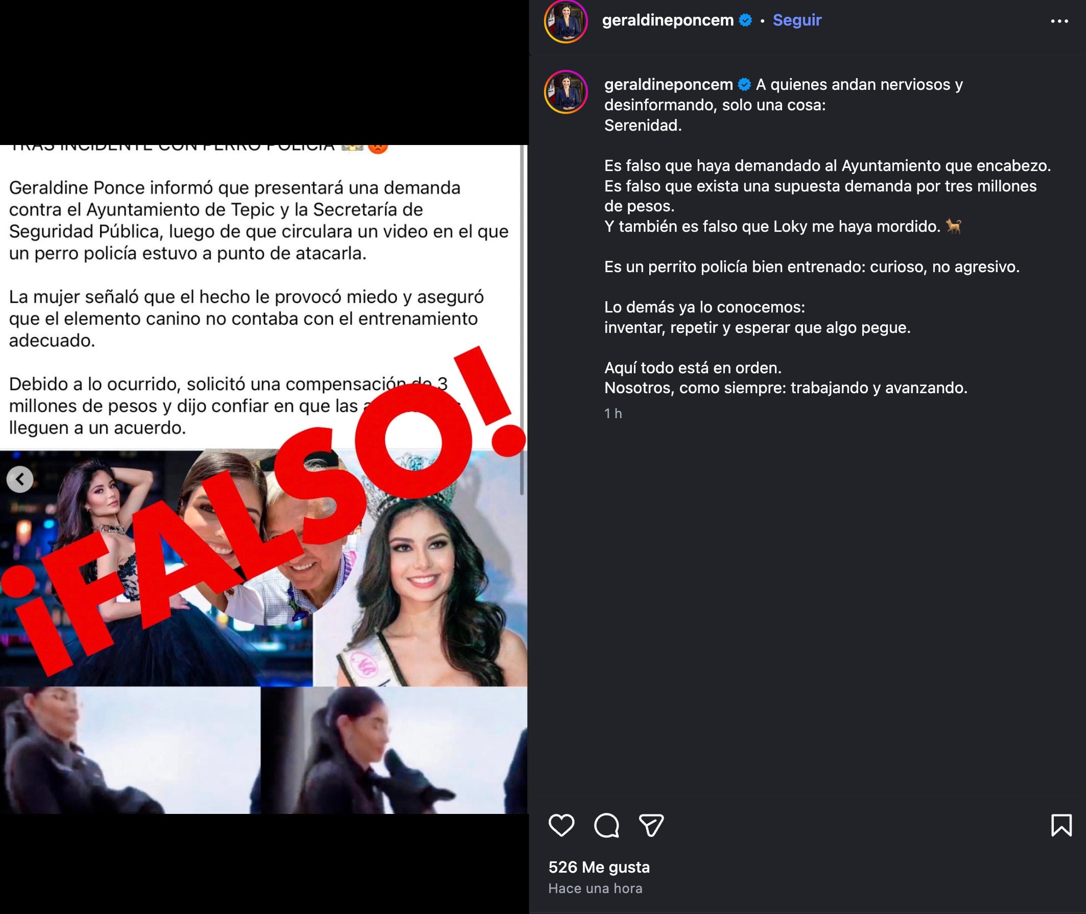 Geraldine Ponce niega demanda contra el ayuntamiento de Tepic por incidente con perro policía