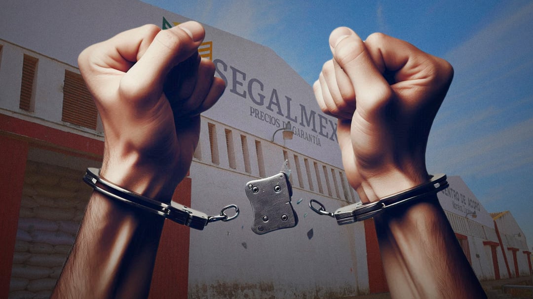 Segalmex: Liberan a Eduardo Alejandro Murillo Landeros, implicado en millonario desvío de recursos