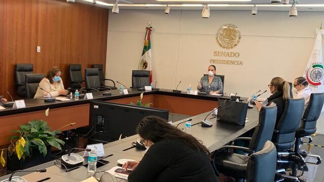 Sesión en Comisiones del Senado.