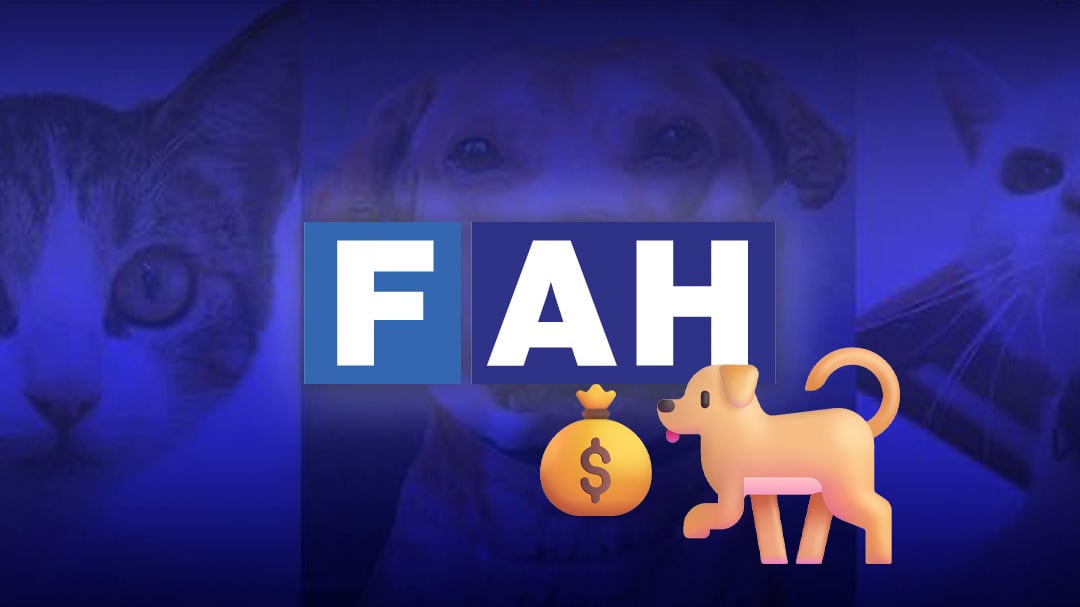 Refugio Franciscano denuncia irregularidades fiscales de Fundación Haghenbeck