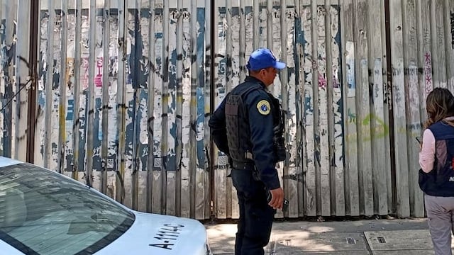 Detectan tala clandestina en predio de Cuauhtémoc