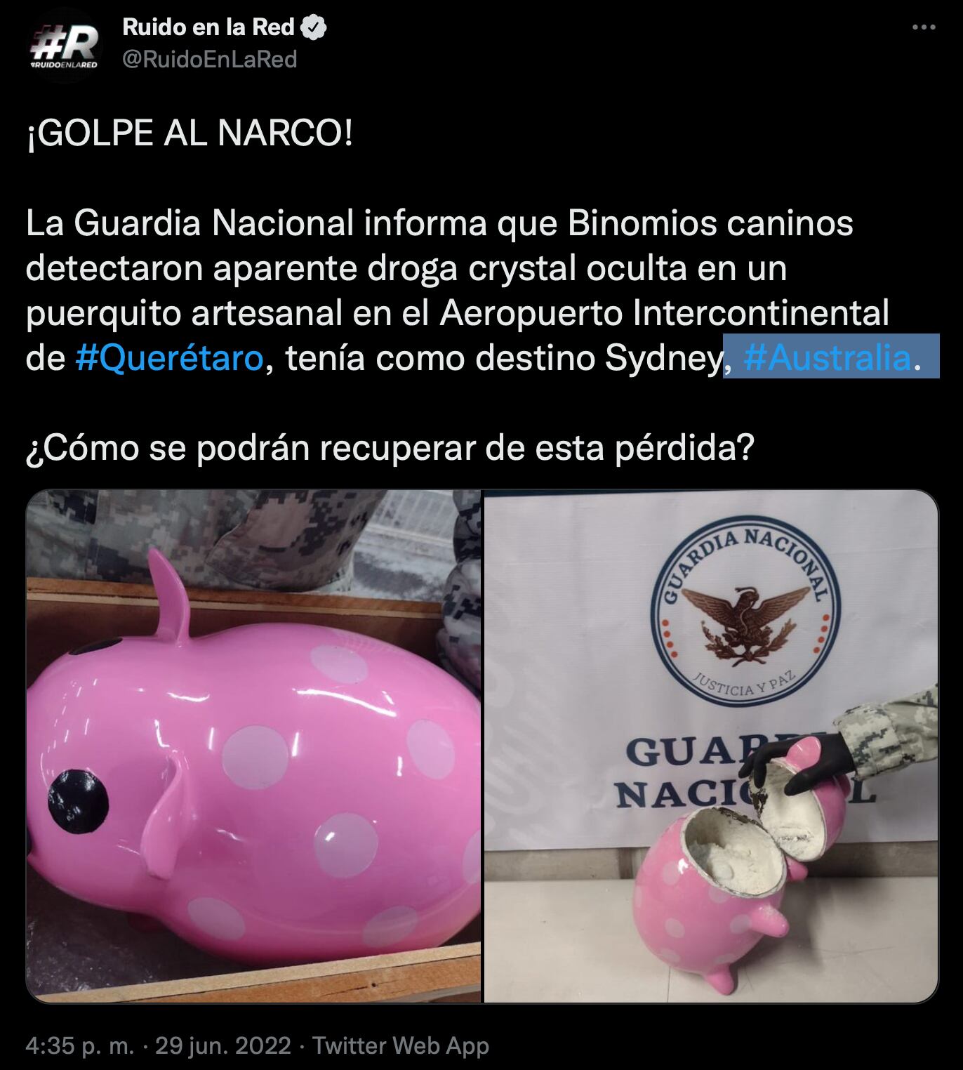 Binomios caninos de la Guardia Nacional encuentran droga dentro de una figura de cerdito