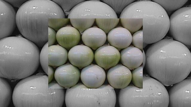 Destaca la Central de Abasto propiedades de la cebolla