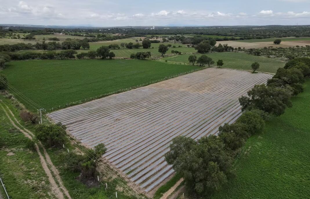 Aguascalientes registra un 46% más de lluvia en lo que va de 2025