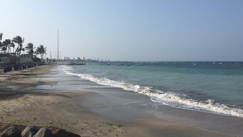 Playas de Veracruz se tiñen de turquesa gracias a ausencia de turistas
