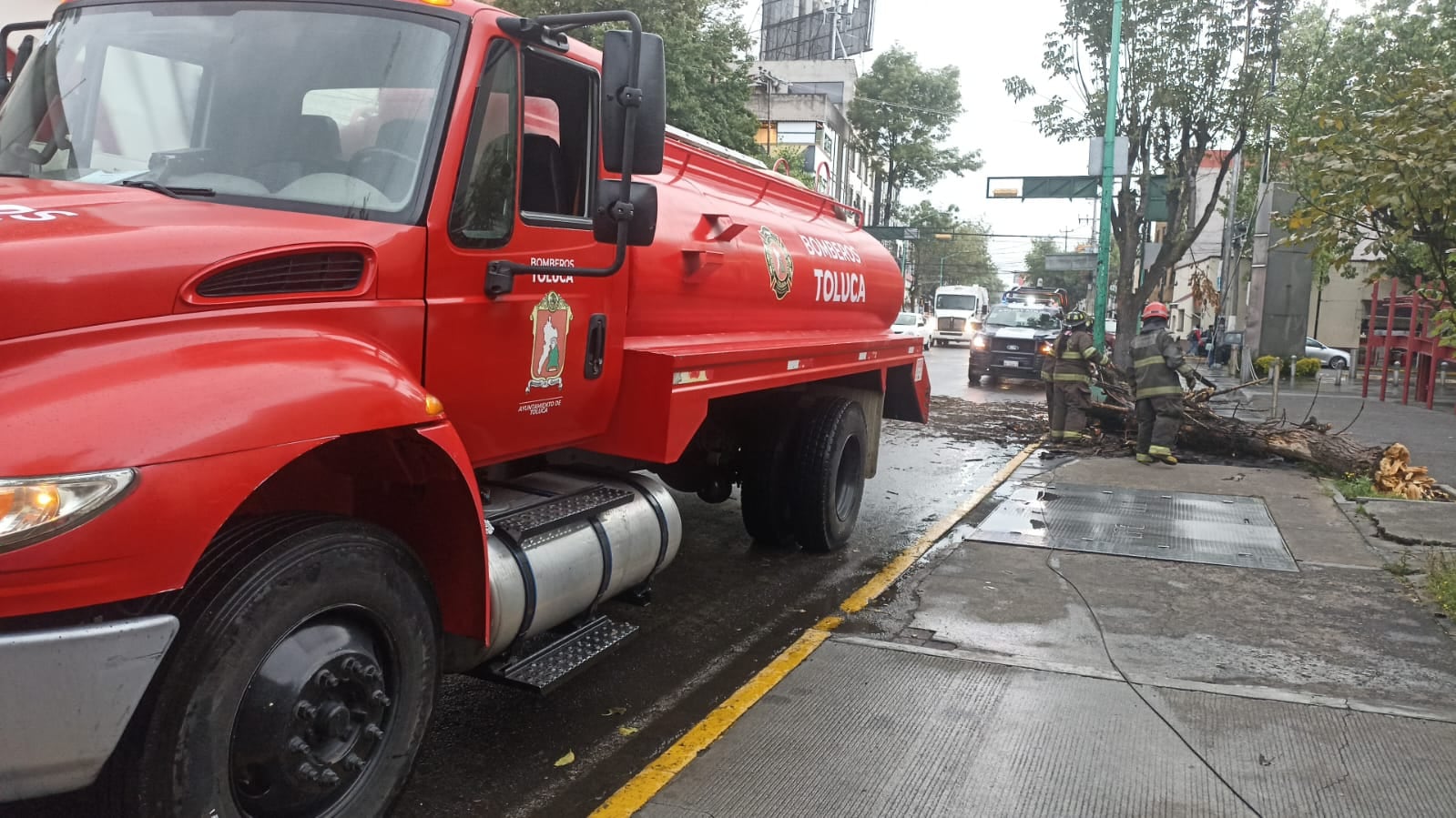 Gobierno de Toluca responde a reportes por caída de árboles tras lluvias