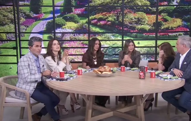 Programa Hoy