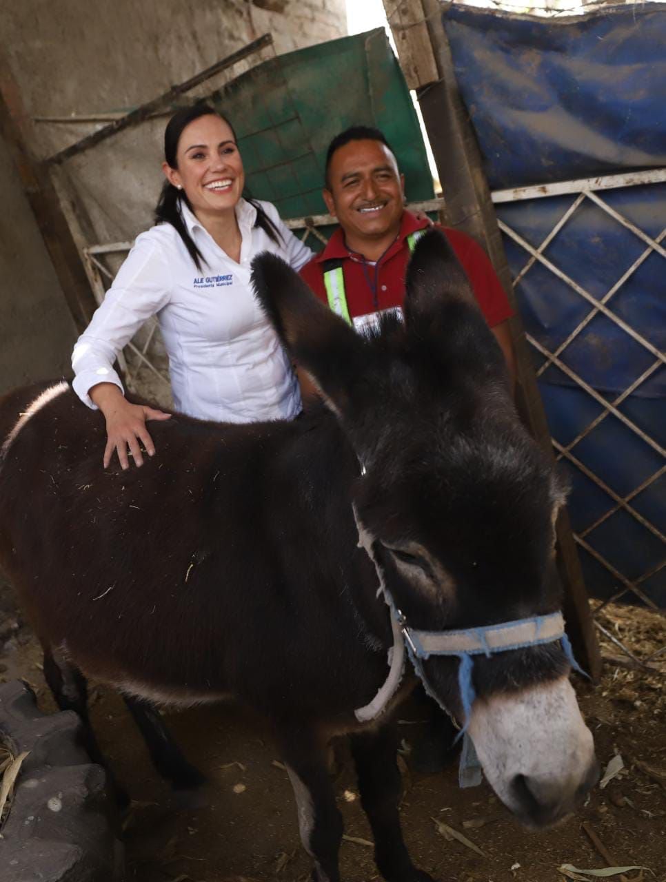 Presidenta municipal de León, Guanajuato, en el intercambio de animales de arrastre por motos de carga