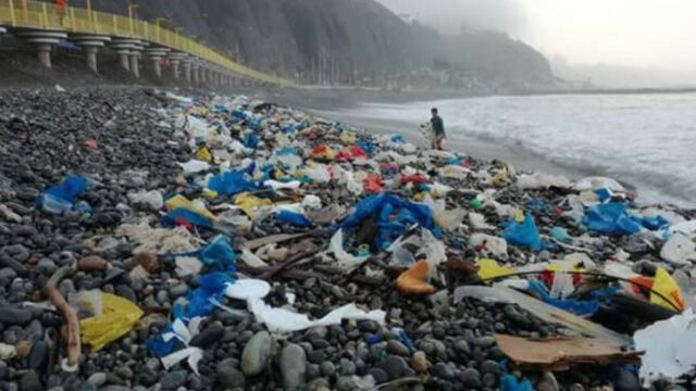 Según Greenpeace, solo un 25 por ciento de lo que consumimos se recupera