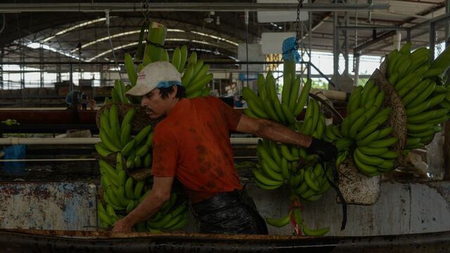 La creación mensual de empleo es de 123 mil 139 puestos.