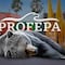 Profepa confirma delicado estado de salud de osa en Zoológico La Pastora, Monterrey