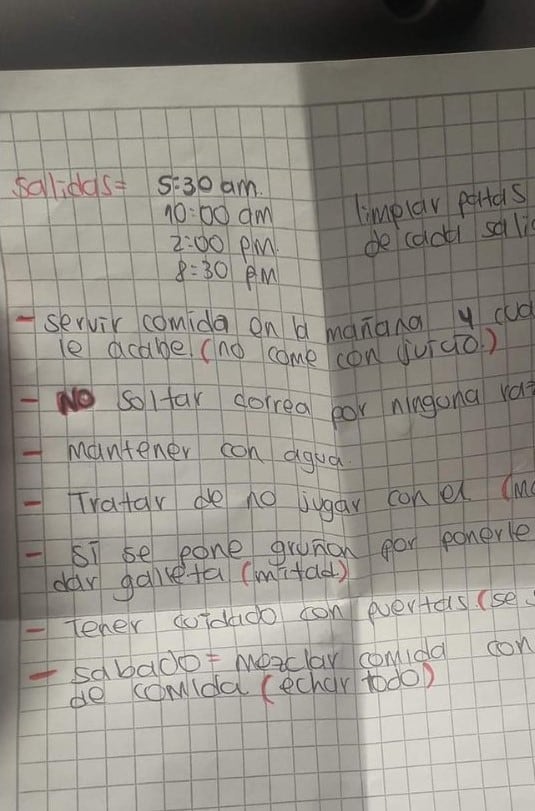Lista de instrucciones para cuidar a perrito