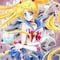 De internet a la televisión; comenzarán a transmitir Sailor Moon Crystal en Japón