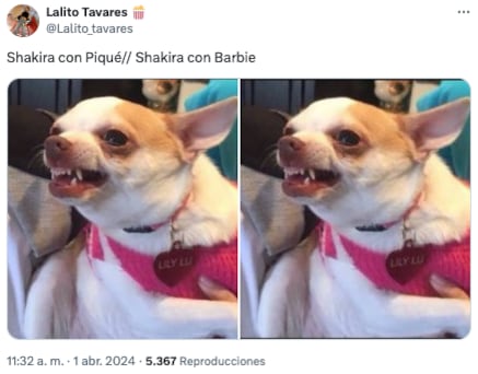 Memes: Shakira y Barbie