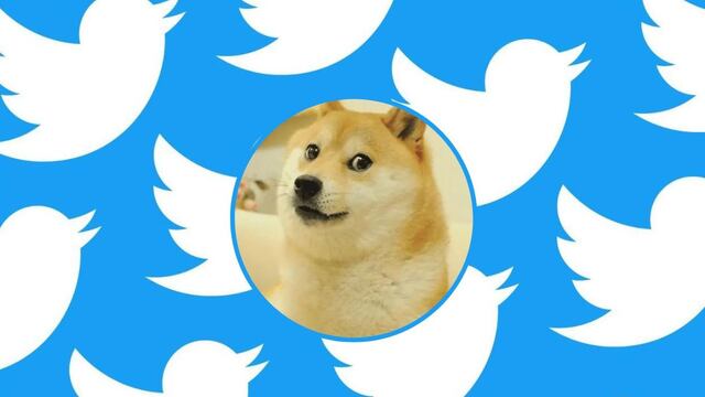 ¿Cheems o Doge? El perrito de los memes llega a Twitter y nadie sabe porqué