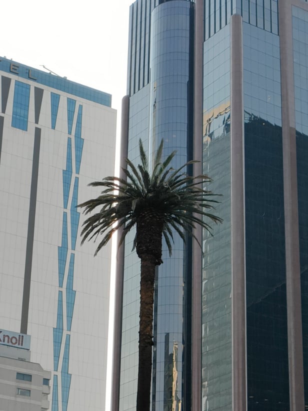 Glorieta de la Palma, 2022