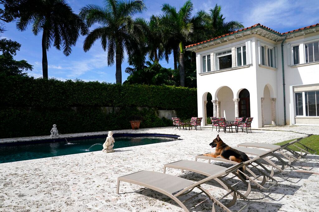 Gunther, el perro millonario