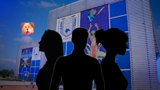 Estudiantes de veterinaria en Chiapas, denunciados por matar a una perrita