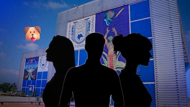 Estudiantes de veterinaria en Chiapas, denunciados por matar a una perrita