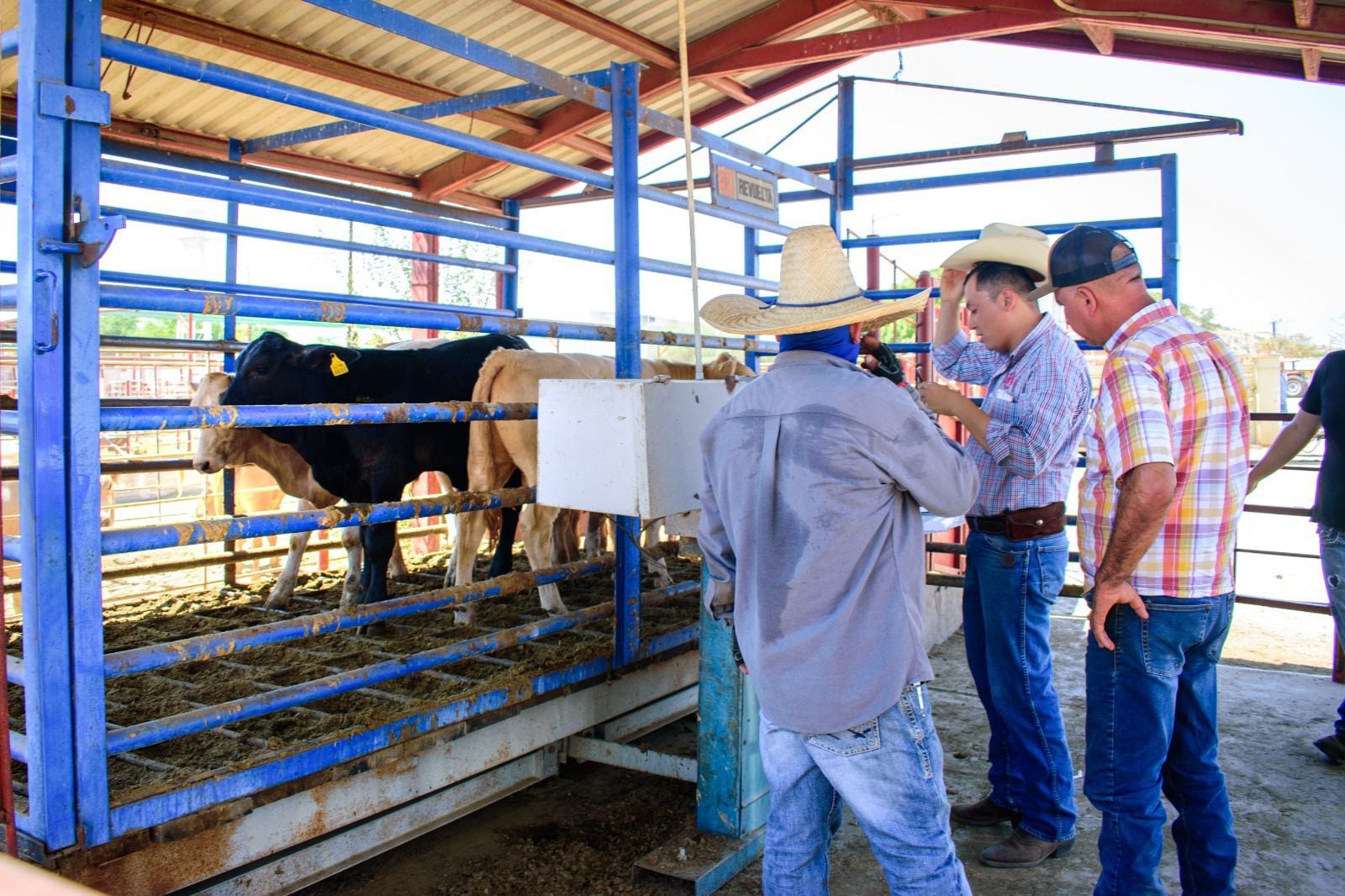 Especialidad en Actividades Pecuarias