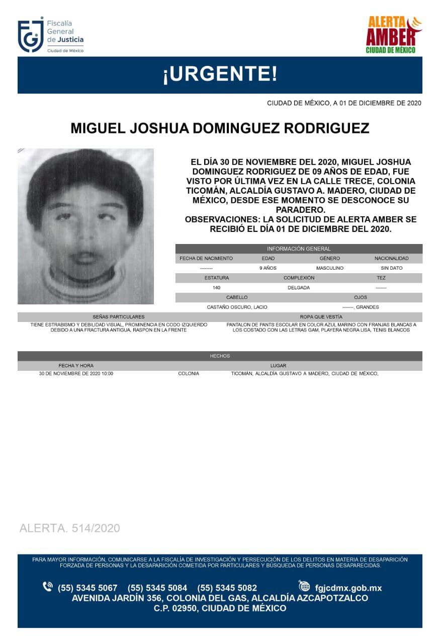 Ficha de búsqueda de Miguel