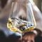 Sin Taste Atlas, el vino blanco mexicano destaca entre los mejores del mundo