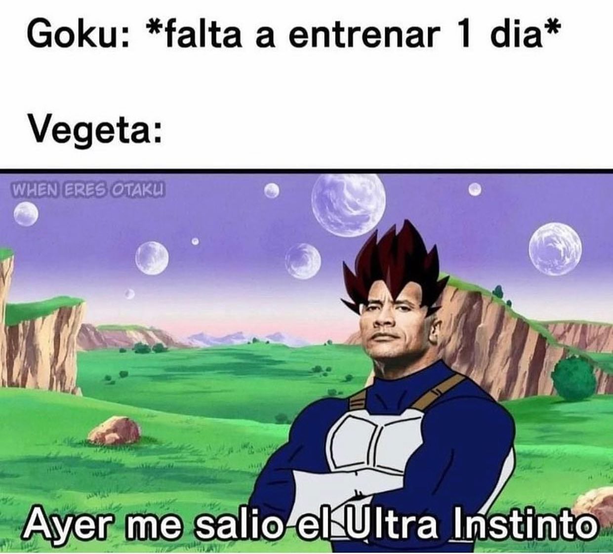 Meme de 'La Roca'