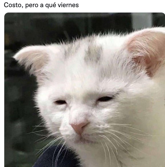 Meme de "Viernes pero a qué costo"