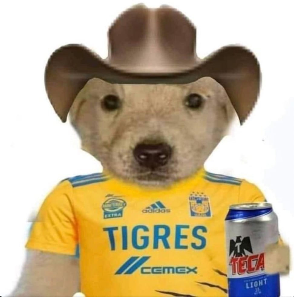 Memes Final Club Chivas vs Club Tigres