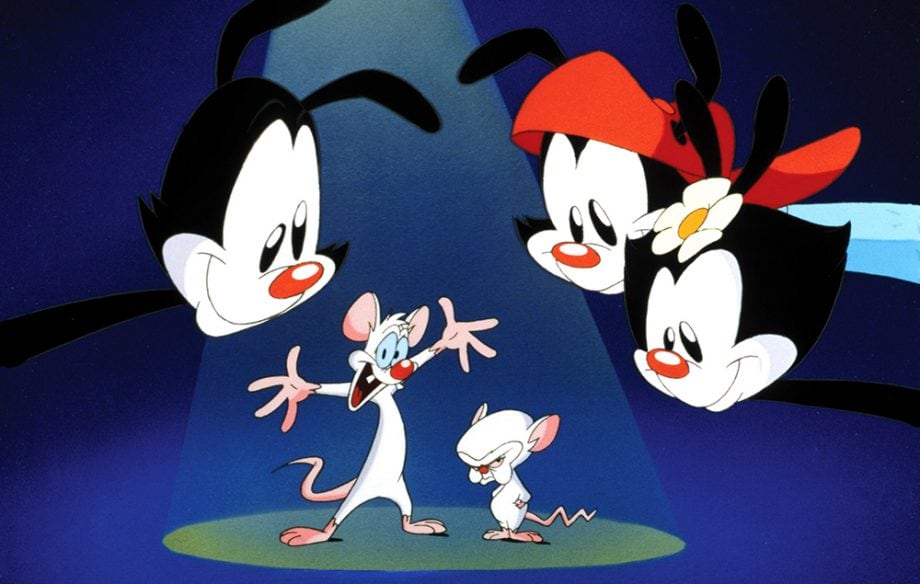 Animaniacs, Pinky y Cerebro
