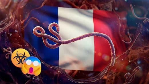 El ébola llega a Francia: confirman el primer caso en un médico