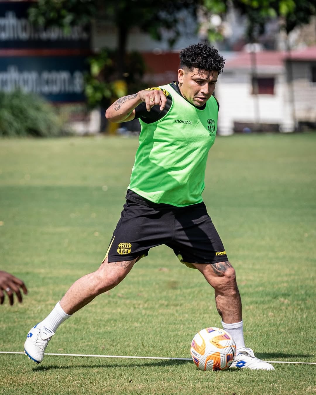 ¿Quién fue Mario Pineida?