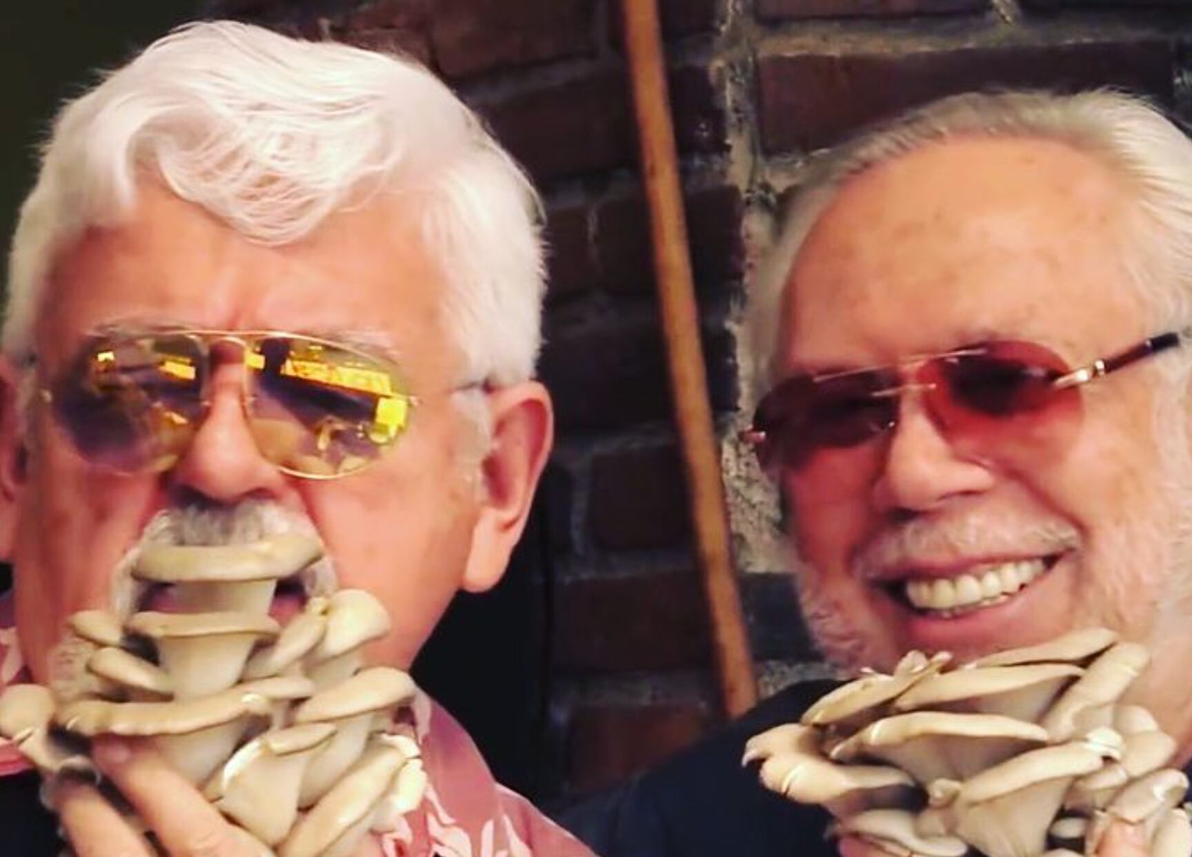 Marco Flavio y Luis de Llano