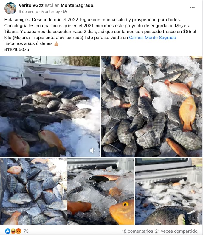 Monte Sagrado, venta de mojarra y tilapia