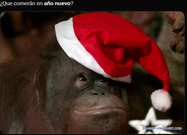Memes Año Nuevo