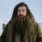 ¿Quiénes son los actores de la serie Harry Potter? Elenco de HBO Max revela a Rubeus Hagrid
