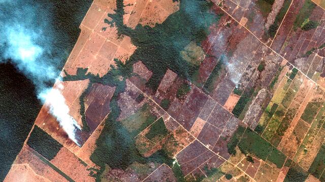 En esta imagen satelital del 15 de agosto de 2019 proporcionada por Imagen satelital © 2019 Maxar Technologies, se muestran incendios en el estado de Rondonia, Brasil, en la cuenca alta del río Amazonas.