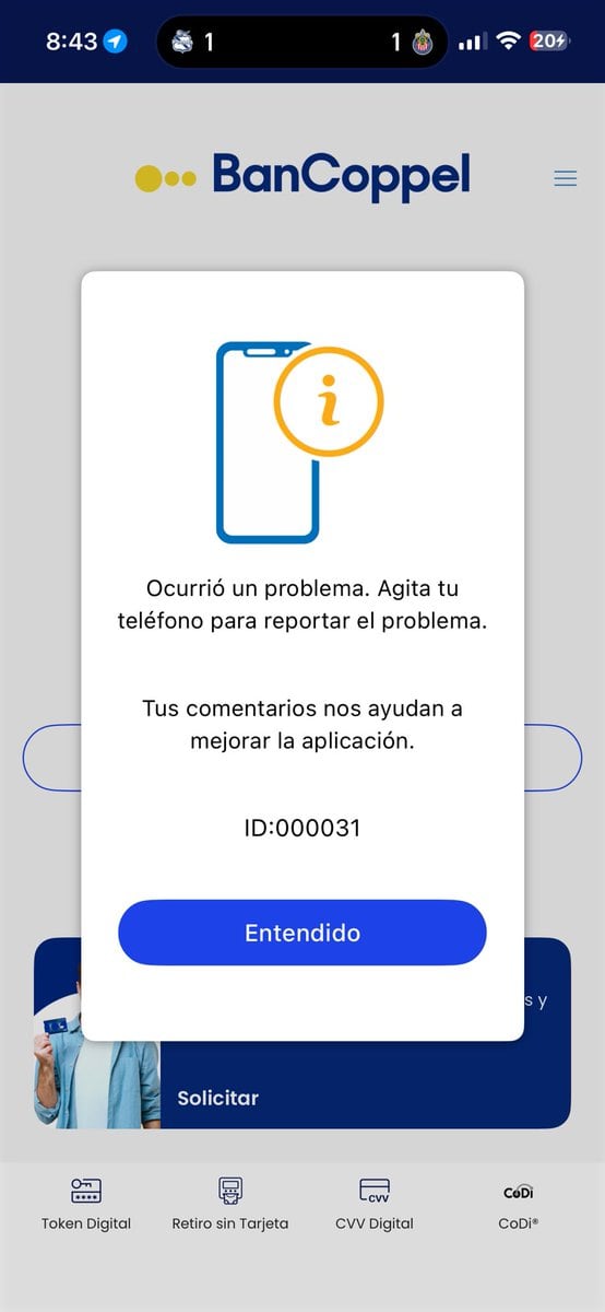 Fallos en Bancoppel