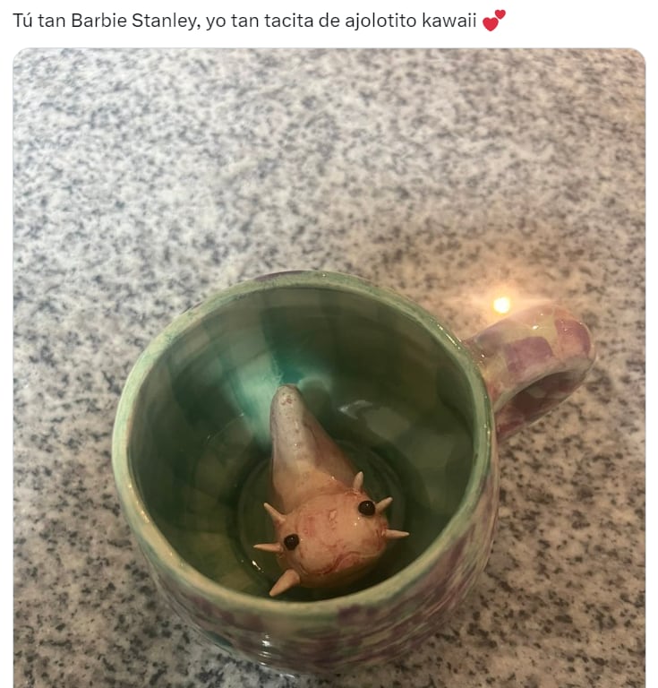 Memes del termo Stanley rosa de Starbucks