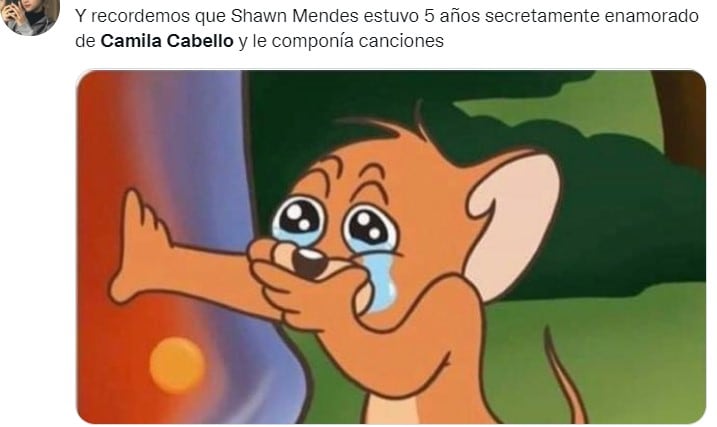 Memes sobre la ruptura de Camila Cabello y Shawn Mendes