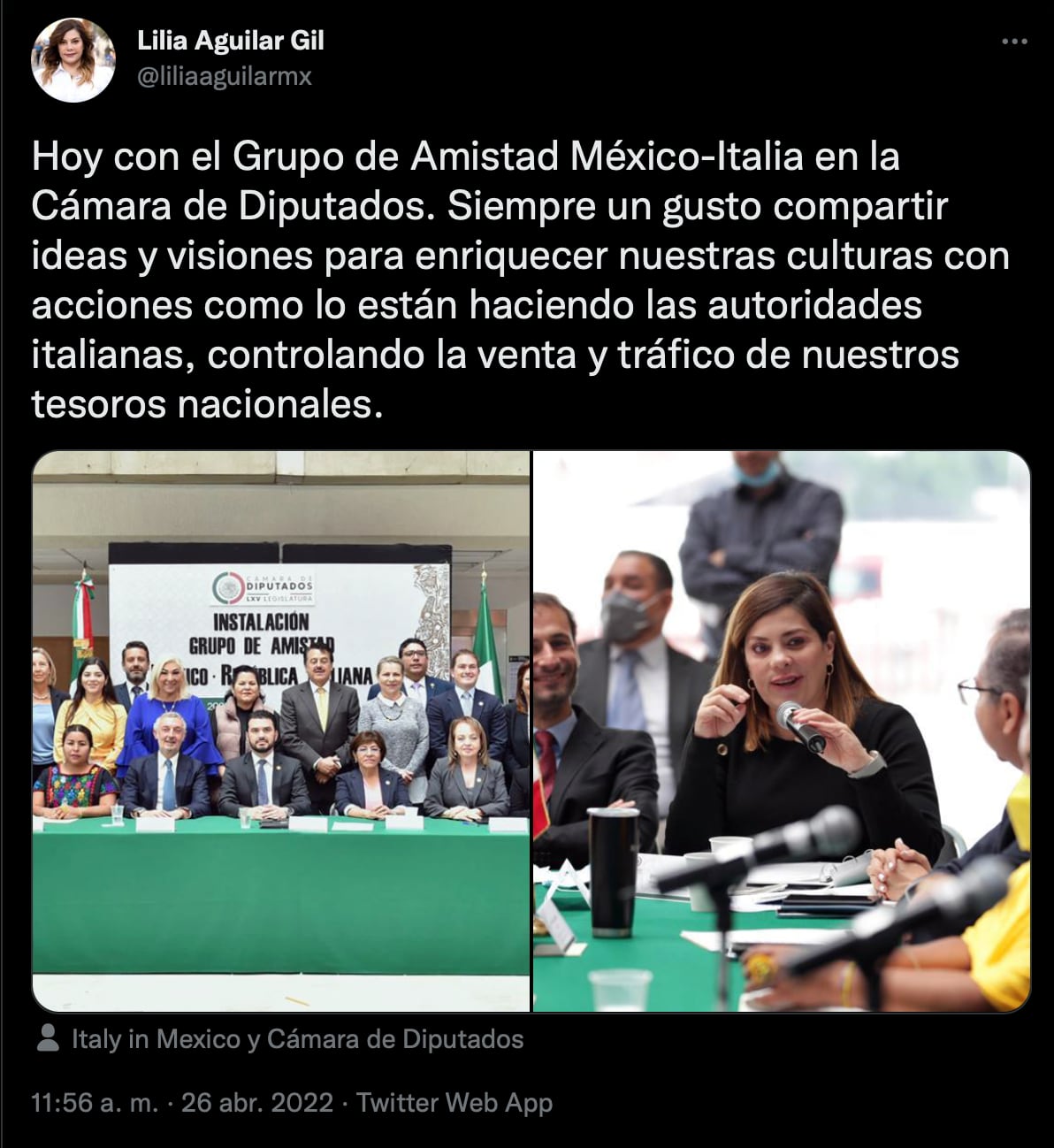 Lilia Aguilar se cayó en la Cámara de Diputados