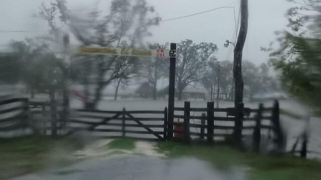 El paso de Cristóbal le pegó duro a la entidad