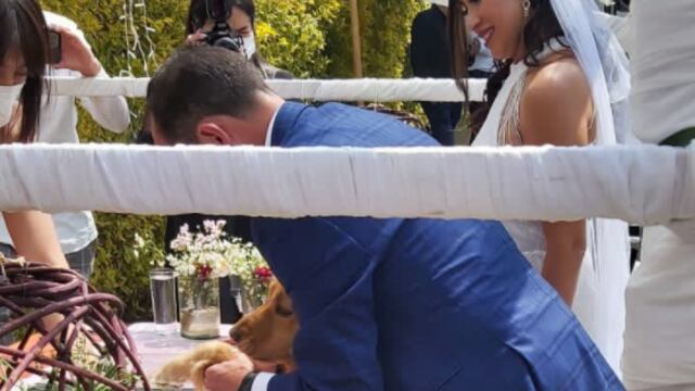 Perrito testigo de boda