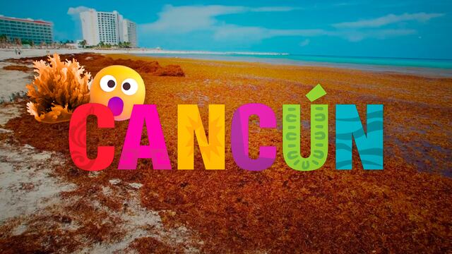 Sargazo en Cancún