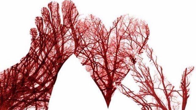 ¿Qué tipo de sangre tiene tu pareja?